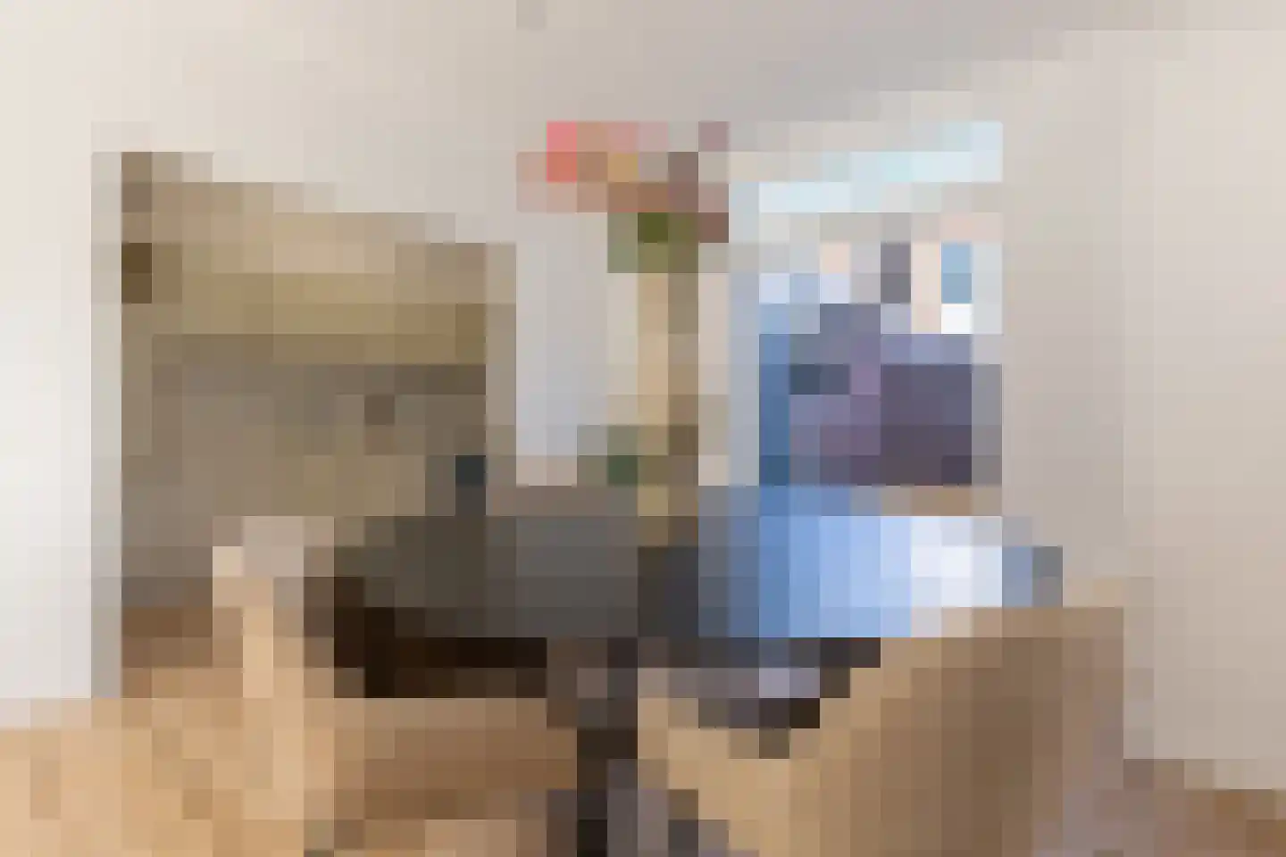 Wijk aan Zeeërweg 92 IJmuiden thumbnail 12
