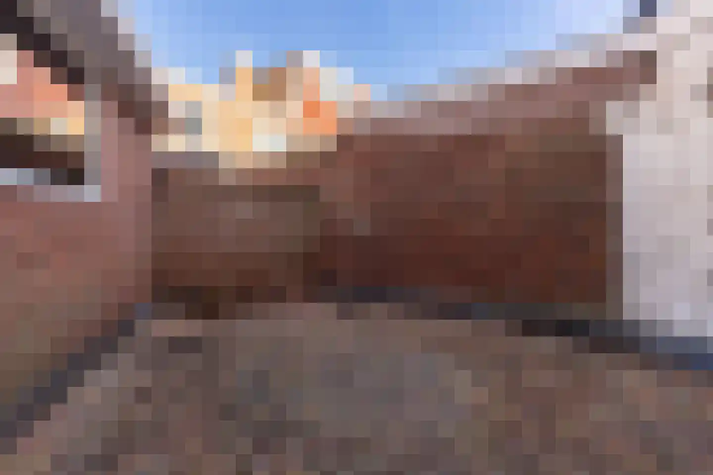 Wijk aan Zeeërweg 92 IJmuiden thumbnail 16