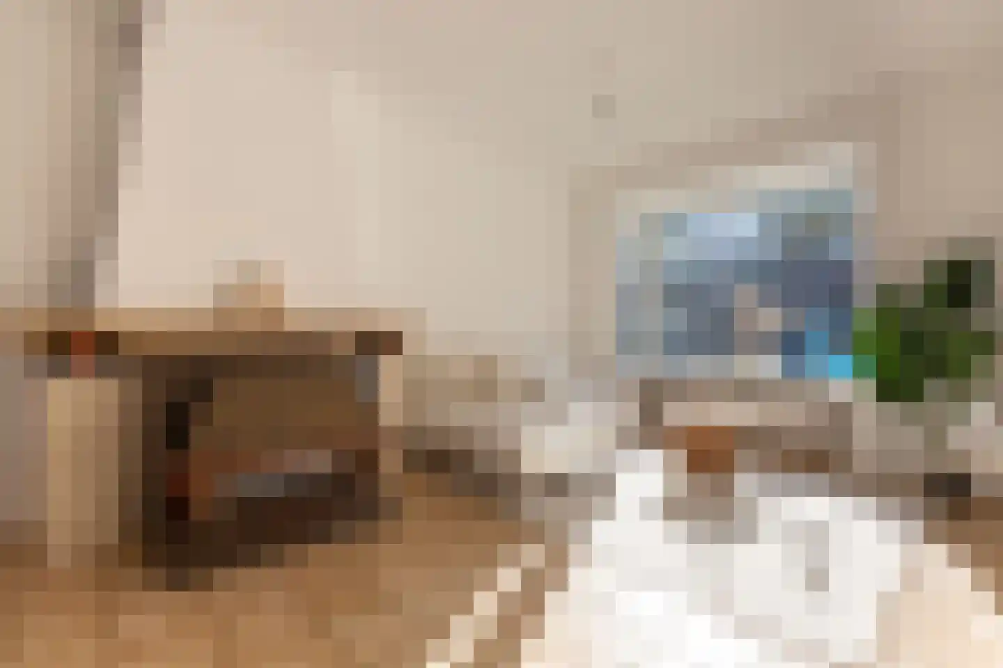 Wijk aan Zeeërweg 92 IJmuiden thumbnail 9