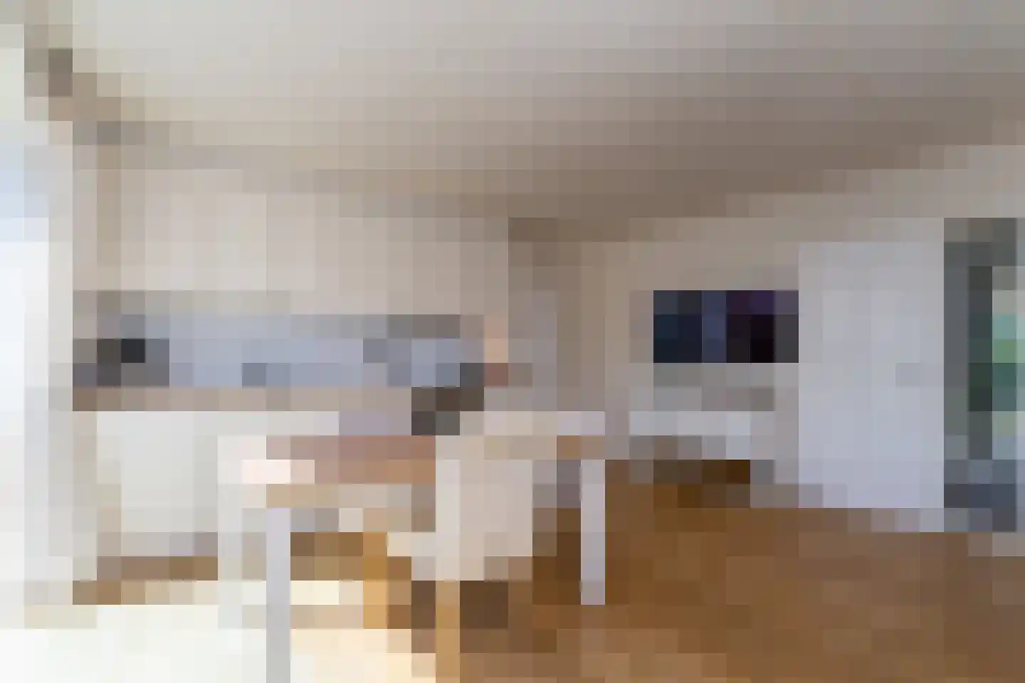 Wijk de Brabander 14 Cadzand thumbnail 14