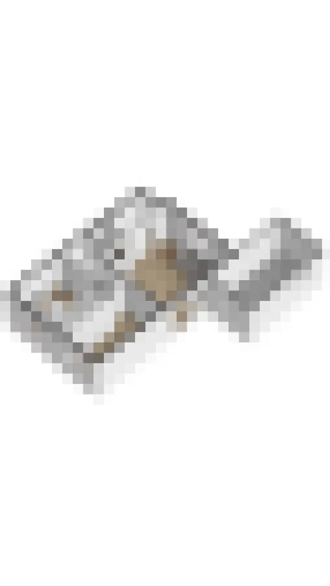 Wijk de Brabander 14 Cadzand thumbnail 26