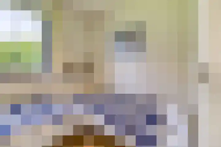 Wijk de Brabander 23 Cadzand thumbnail 14