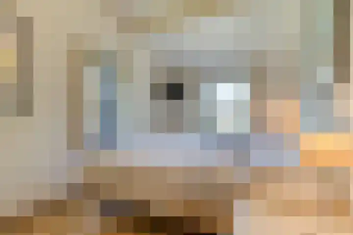 Wijk de Brabander 23 Cadzand thumbnail 20