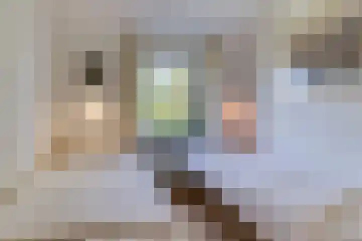 Wijk de Brabander 23 Cadzand thumbnail 23