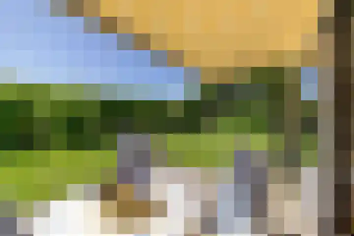 Wijk de Brabander 23 Cadzand thumbnail 27