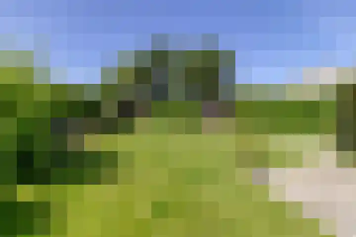 Wijk de Brabander 23 Cadzand thumbnail 28