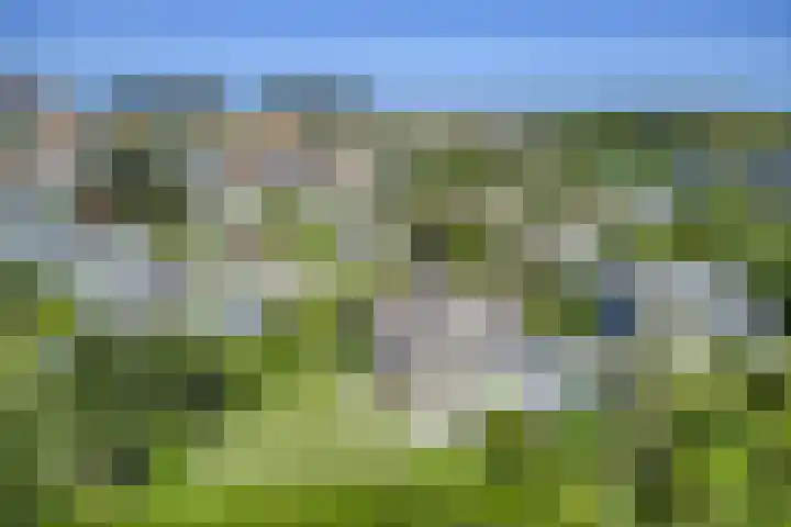 Wijk de Brabander 23 Cadzand thumbnail 4