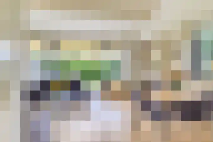 Wijk de Brabander 23 Cadzand thumbnail 6