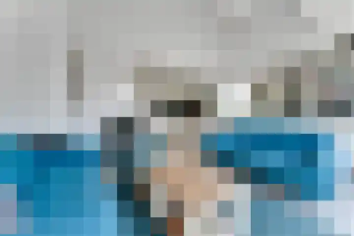 Wijk de Brabander 26 Cadzand thumbnail 11