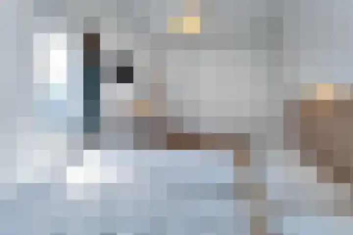 Wijk de Brabander 26 Cadzand thumbnail 20
