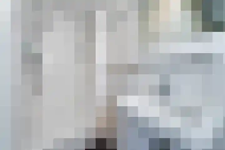 Wijk de Brabander 26 Cadzand thumbnail 21