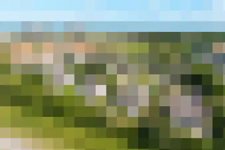 Wijk de Brabander 26 Cadzand thumbnail 27