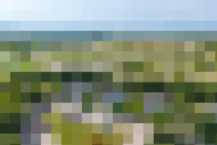 Wijk de Brabander 26 Cadzand thumbnail 28