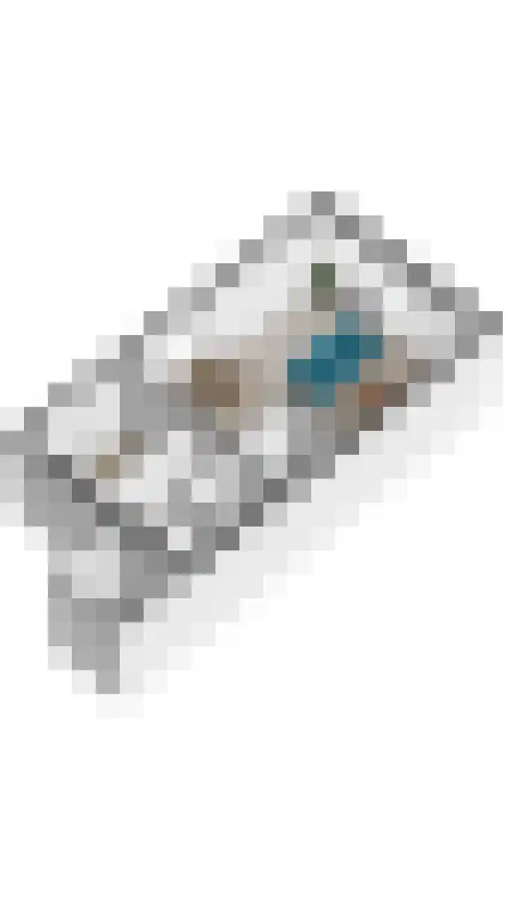 Wijk de Brabander 26 Cadzand thumbnail 31