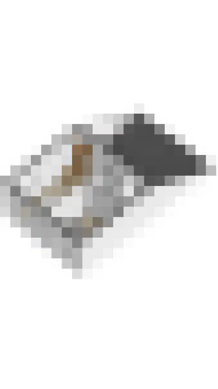 Wijk de Brabander 26 Cadzand thumbnail 32