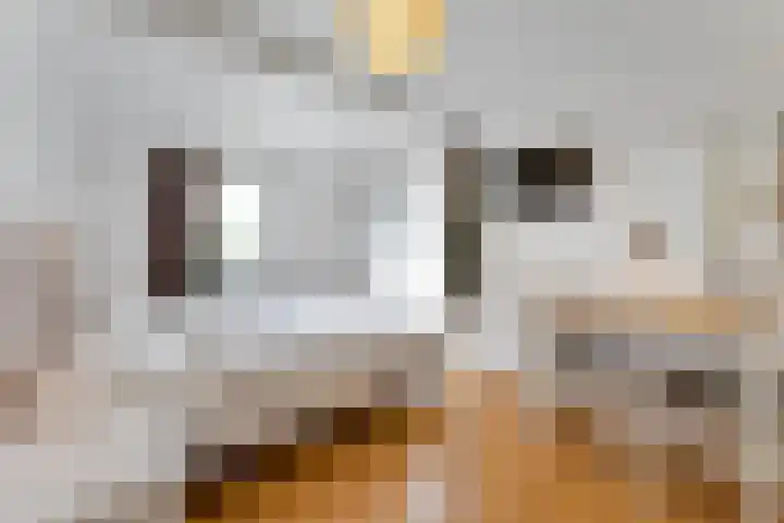 Wijk de Brabander 26 Cadzand thumbnail 4
