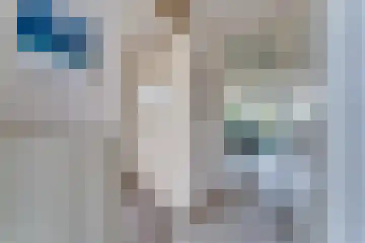 Wijk de Brabander 26 Cadzand thumbnail 9