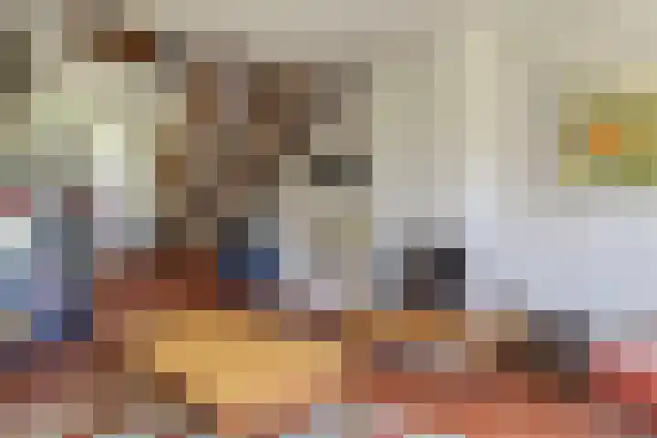 Wijk de Brabander 89 Cadzand thumbnail 10