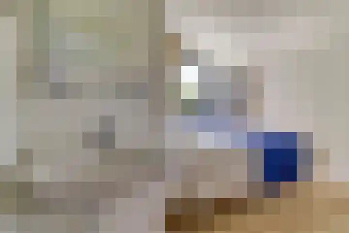 Wijk de Brabander 89 Cadzand thumbnail 13