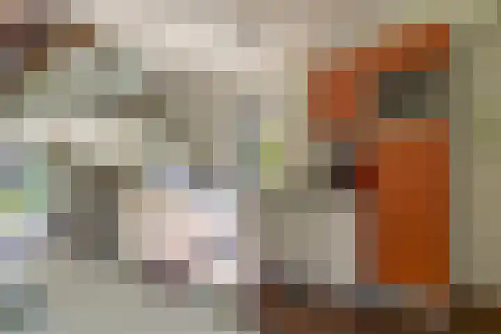 Wijk de Brabander 89 Cadzand thumbnail 4