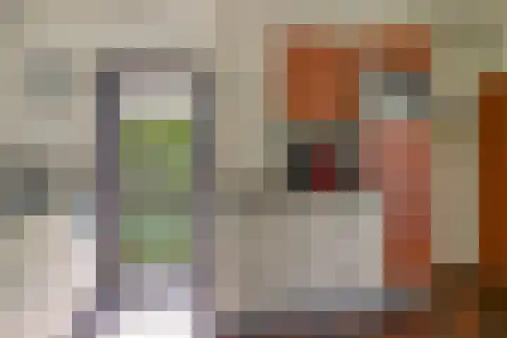 Wijk de Brabander 89 Cadzand thumbnail 5