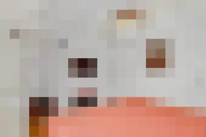Wijkamplaan 17 Baarn thumbnail 21