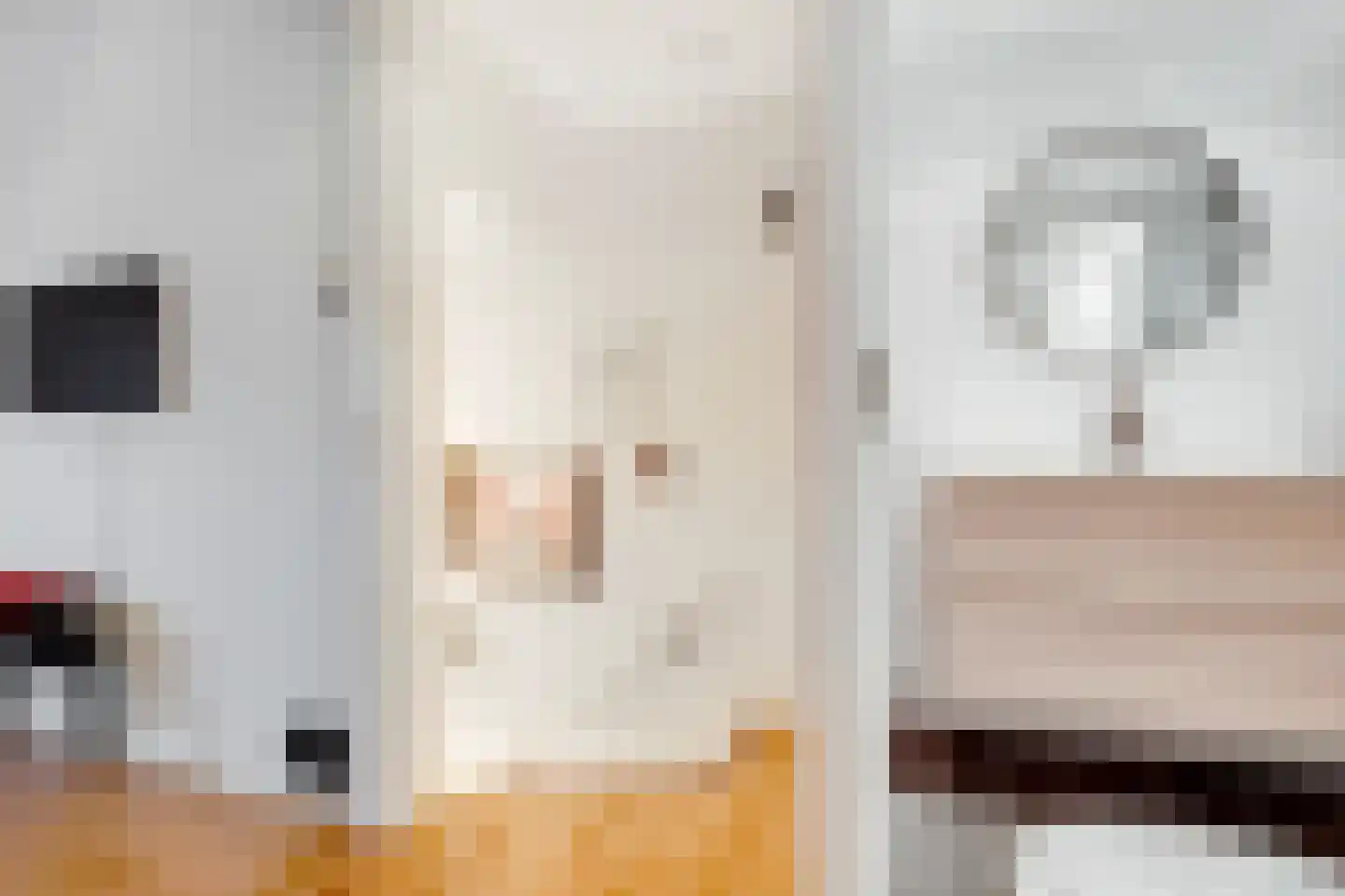 Wijkamplaan 17 Baarn thumbnail 26