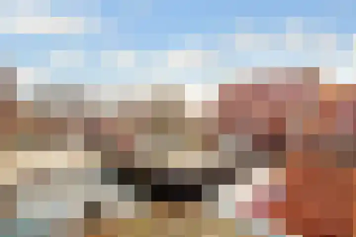 Wijkamplaan 17 Baarn thumbnail 34