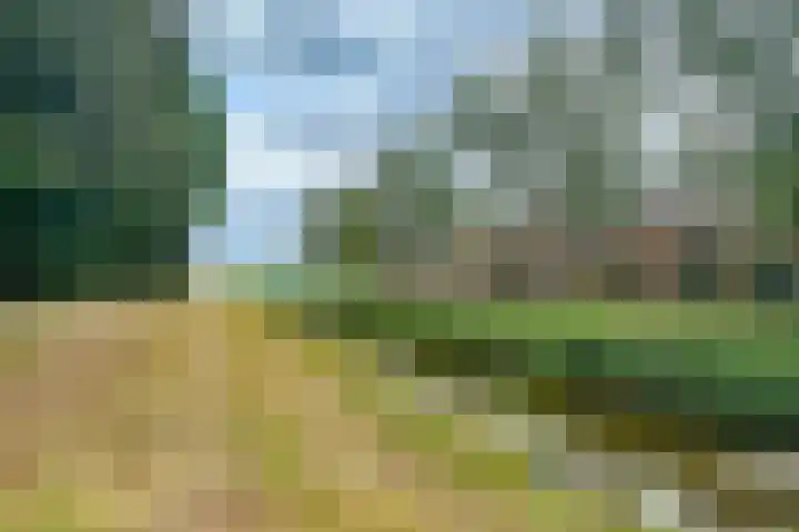 Wijkamplaan 17 Baarn thumbnail 37