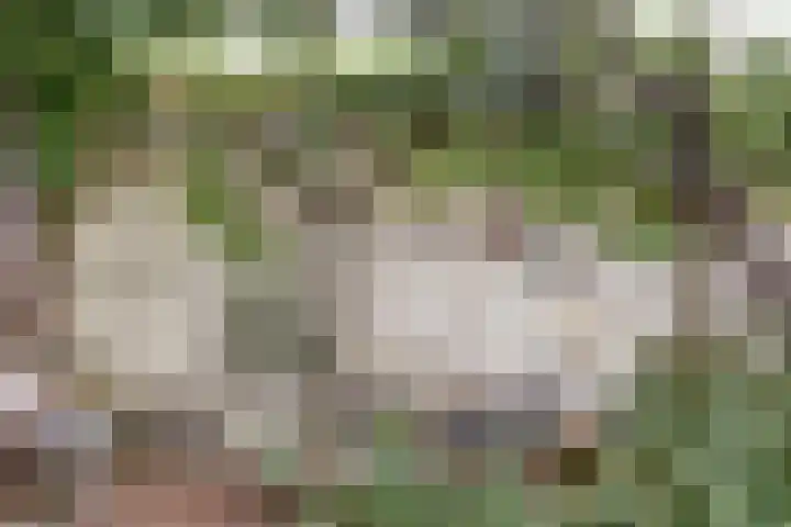Wijkamplaan 27 Baarn thumbnail 27