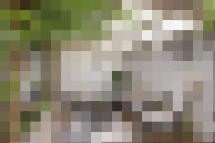 Wijkamplaan 27 Baarn thumbnail 28