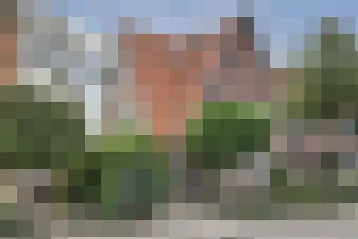 Wijkamplaan 27 Baarn thumbnail 35