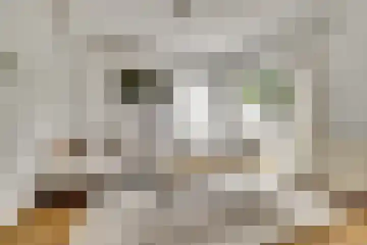 Wijkamplaan 27 Baarn thumbnail 4