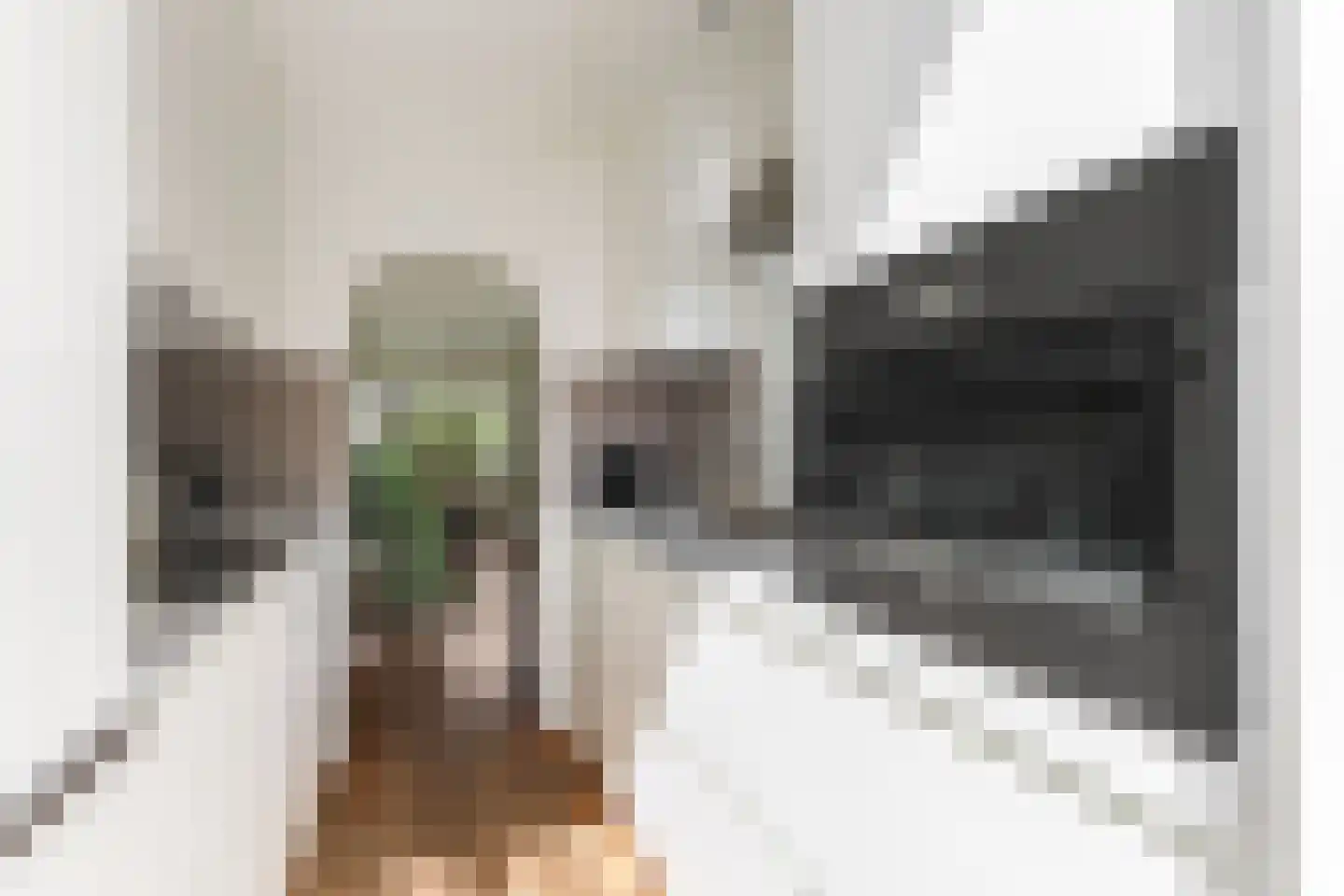 Wijkamplaan 31 Baarn thumbnail 10
