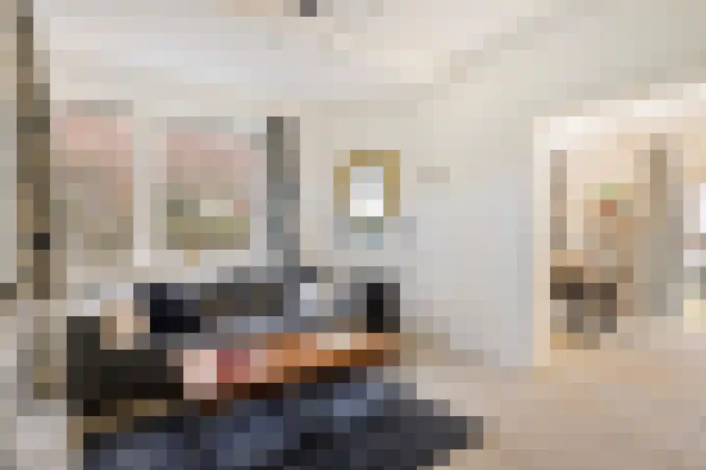Wijkamplaan 50 Baarn thumbnail 9