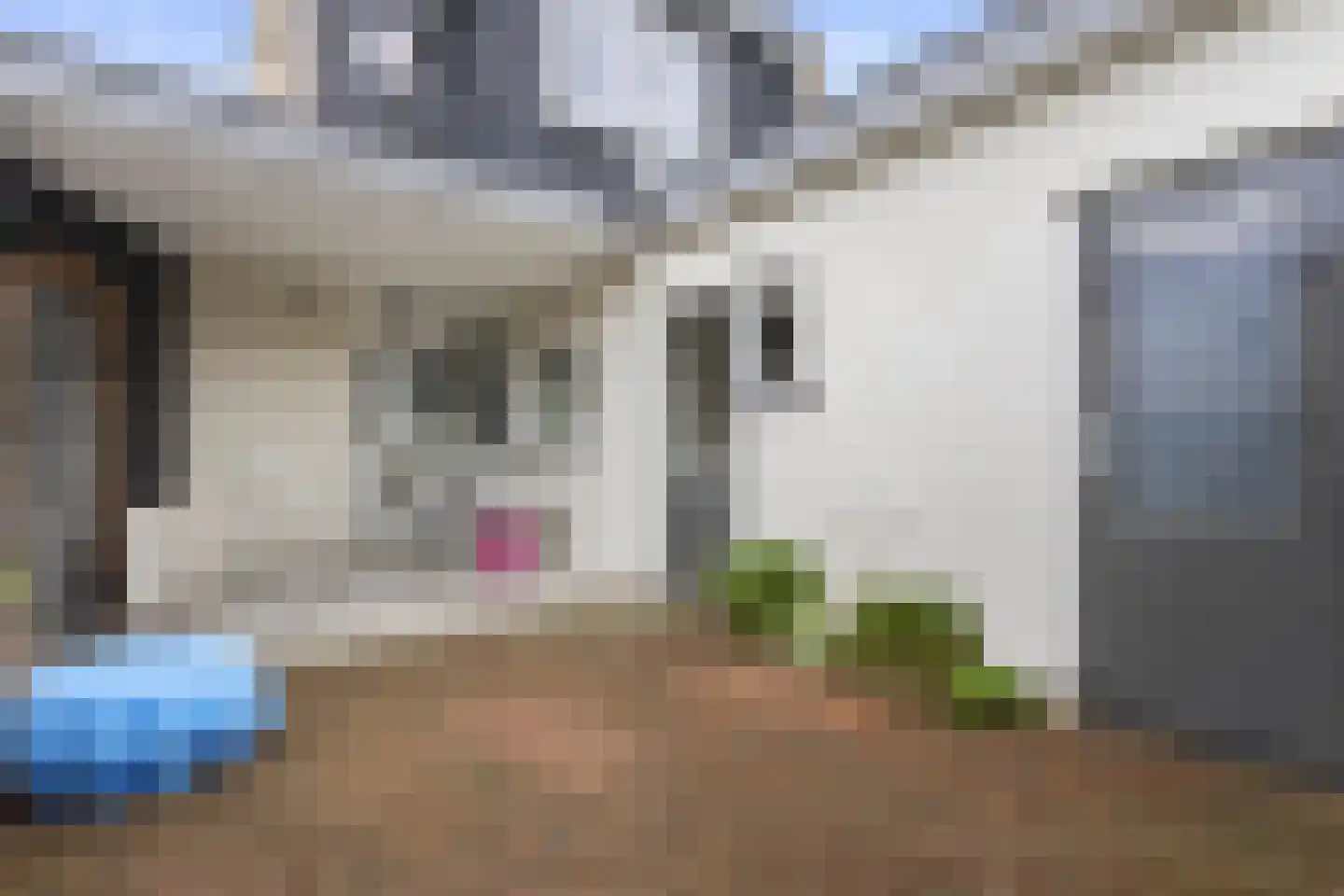 Wijkamplaan 55 Baarn thumbnail 18