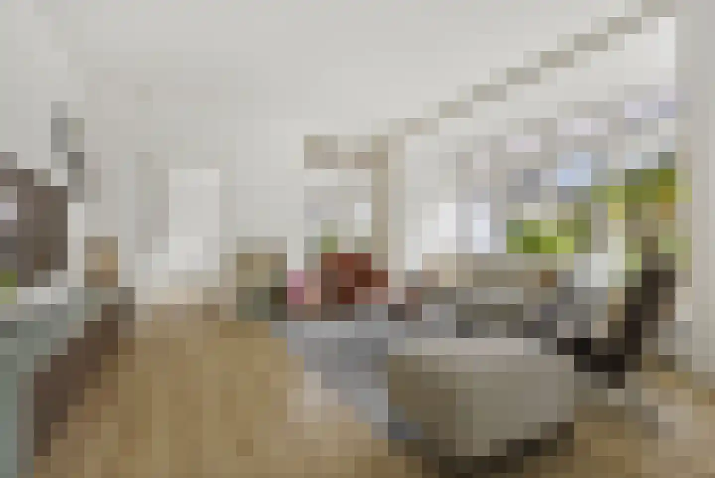 Wijkamplaan 55 Baarn thumbnail 4
