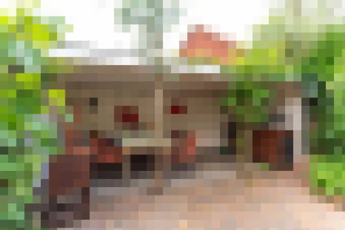Wijkamplaan 59 Baarn thumbnail 16