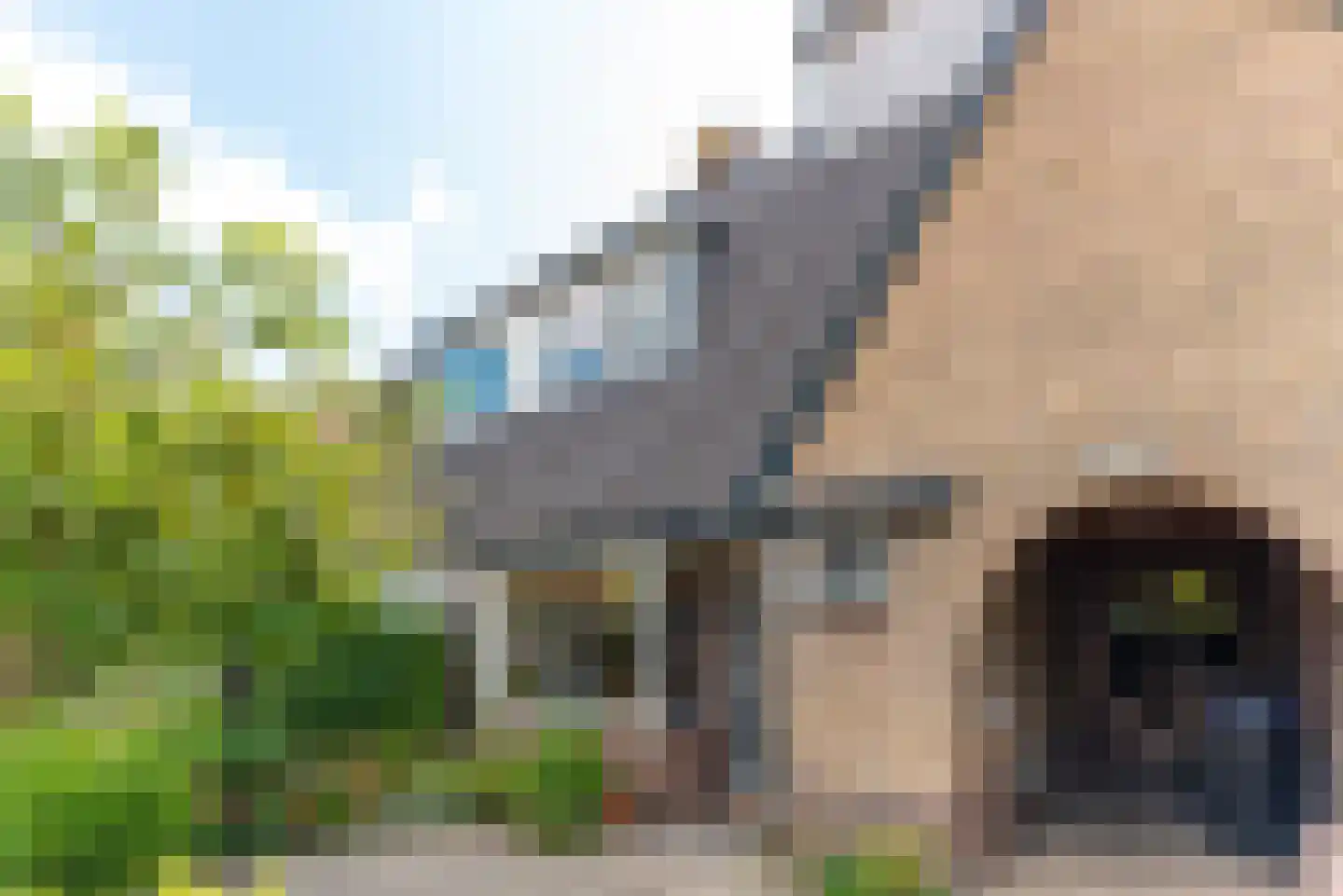Wijkamplaan 59 Baarn thumbnail 38