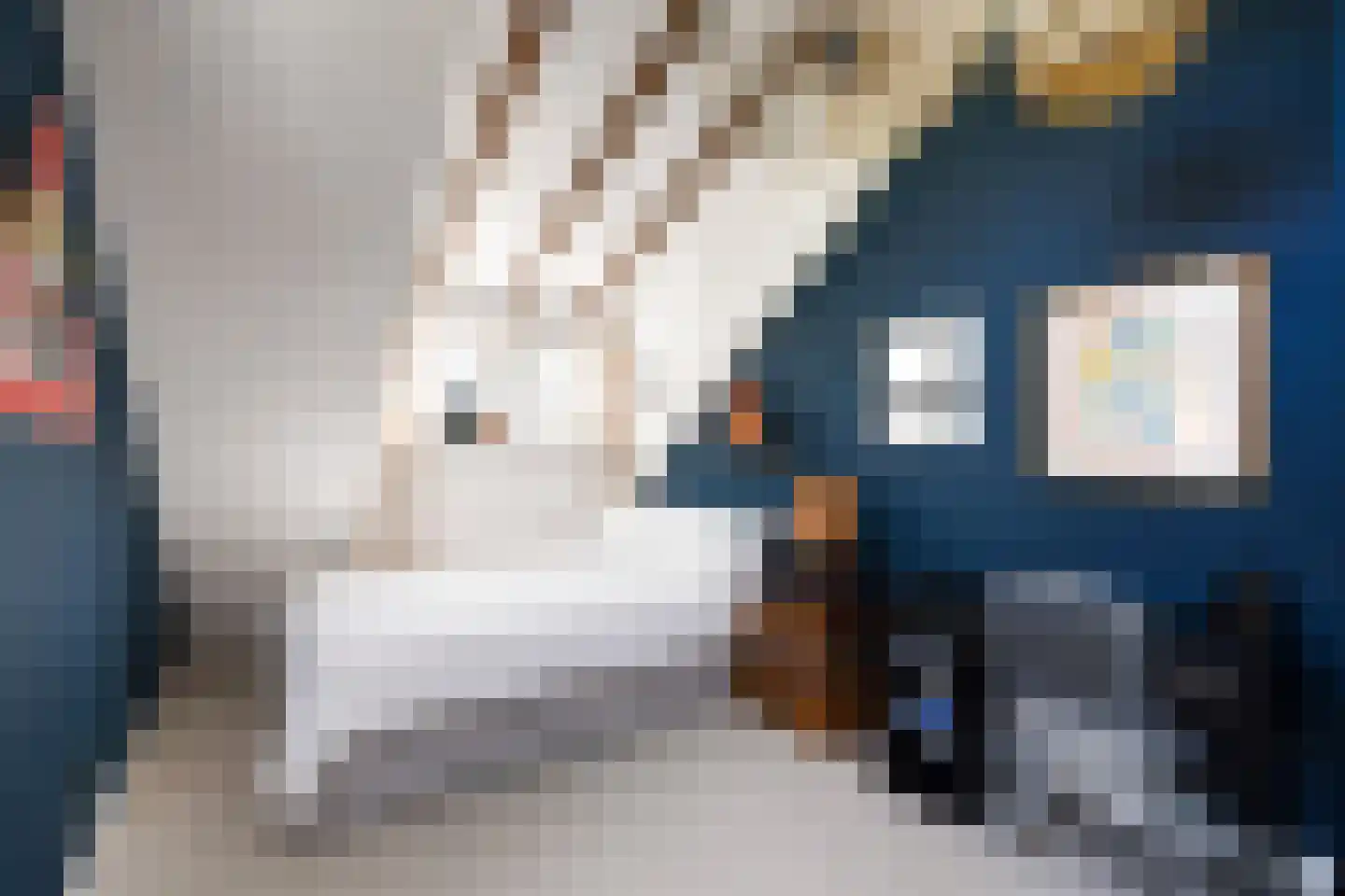 Wijkergouw 36 A Amsterdam thumbnail 30