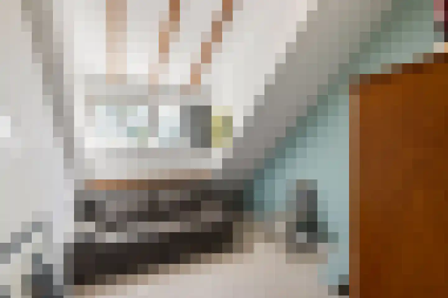 Wijkergouw 36 A Amsterdam thumbnail 33