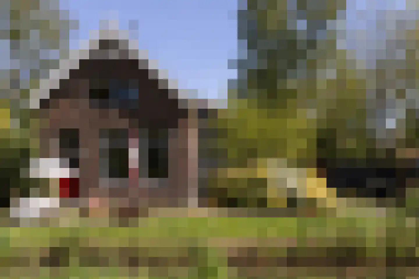 Wijkergouw 36 A Amsterdam thumbnail 36