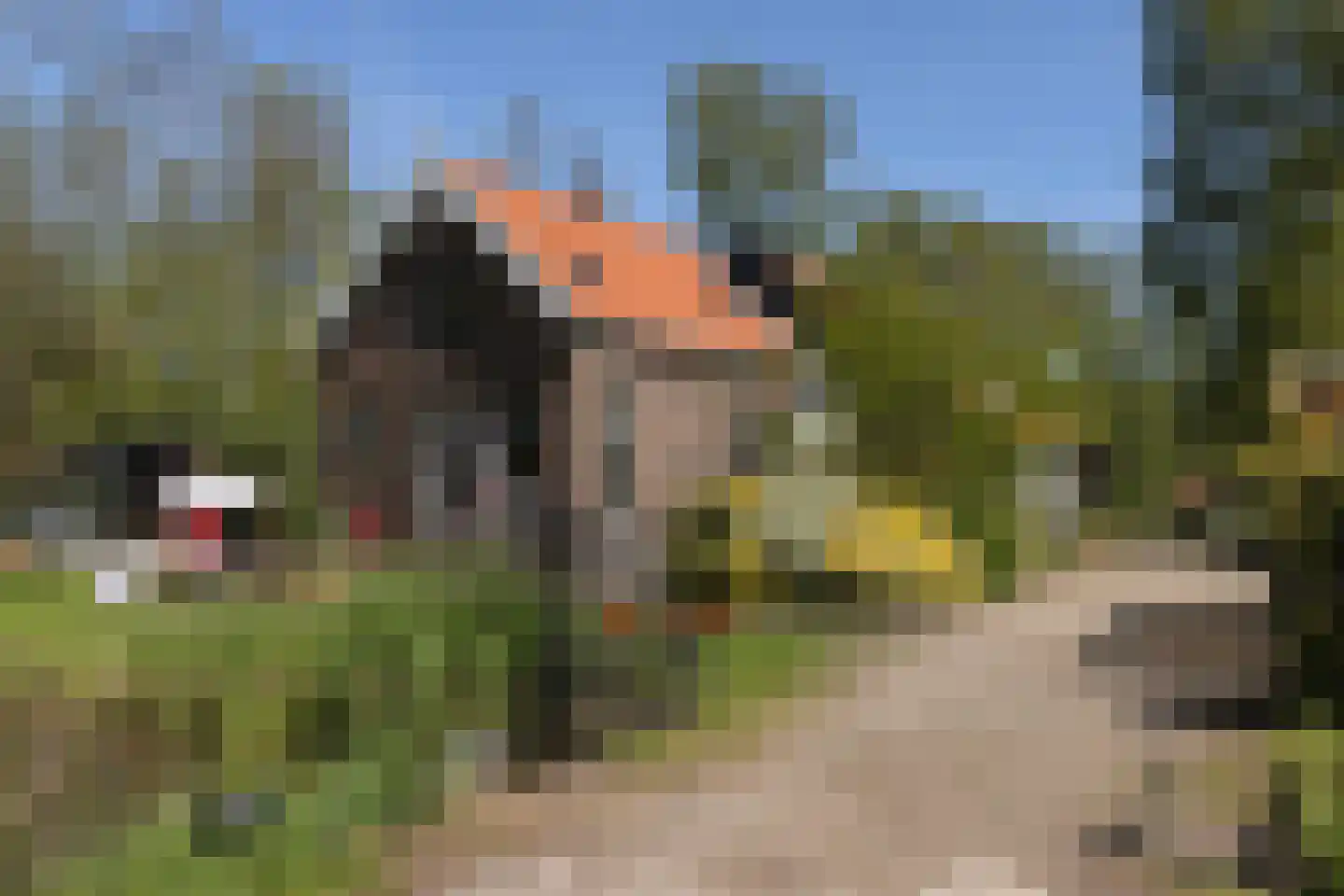 Wijkergouw 36 A Amsterdam thumbnail 51