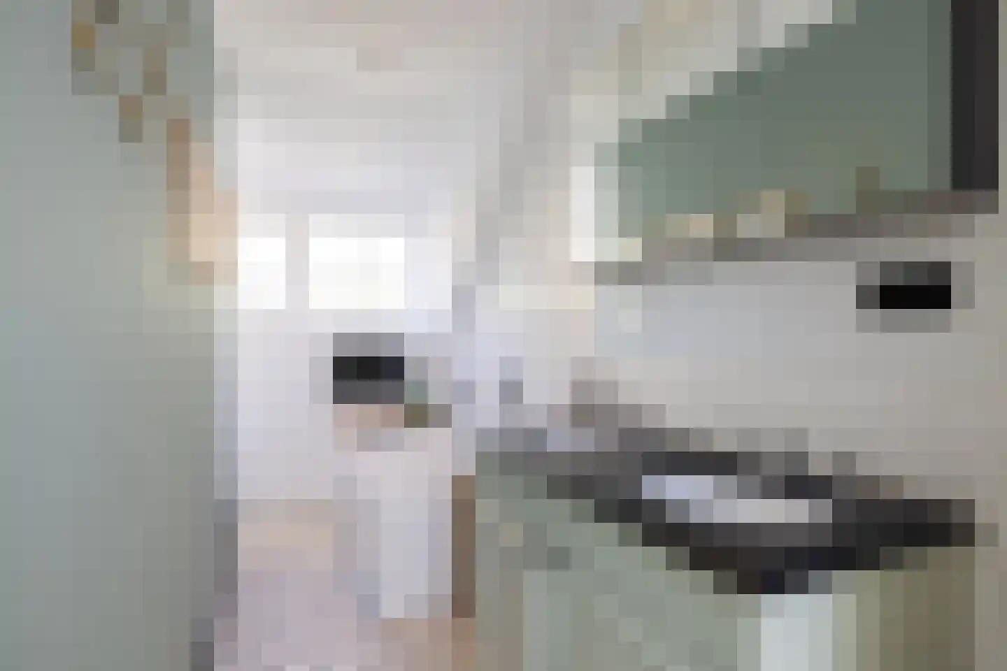 Wijkergouw 36 Amsterdam thumbnail 33