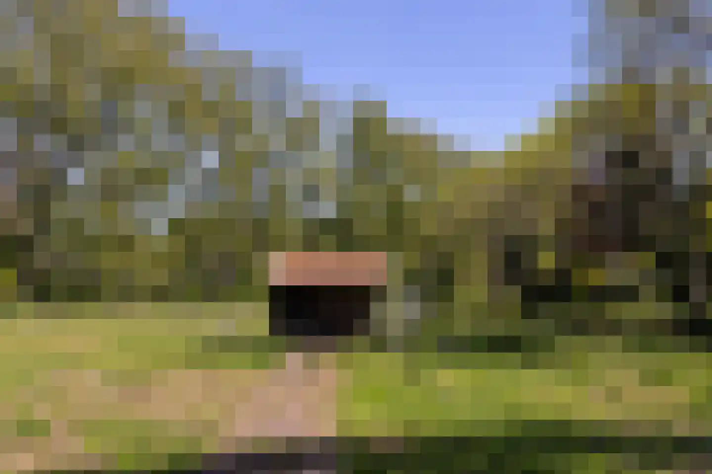 Wijkergouw 36 Amsterdam thumbnail 42