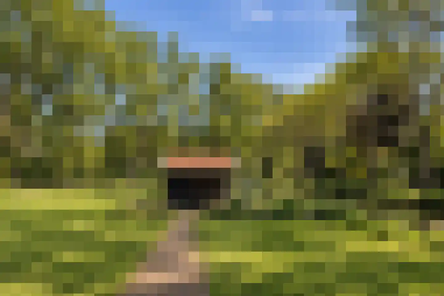 Wijkergouw 36 Amsterdam thumbnail 42