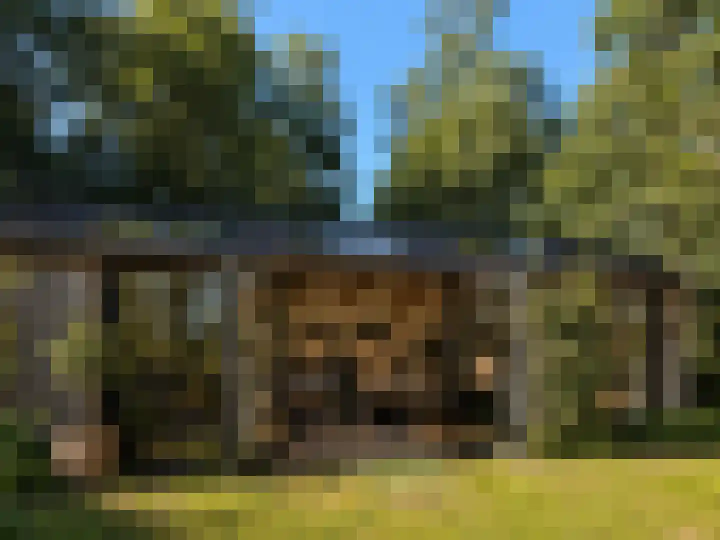 Wijkergouw 36 Amsterdam thumbnail 45