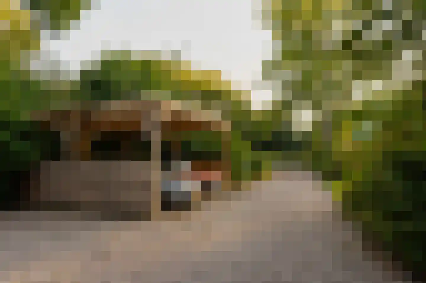 Wijkergouw 36 Amsterdam thumbnail 5