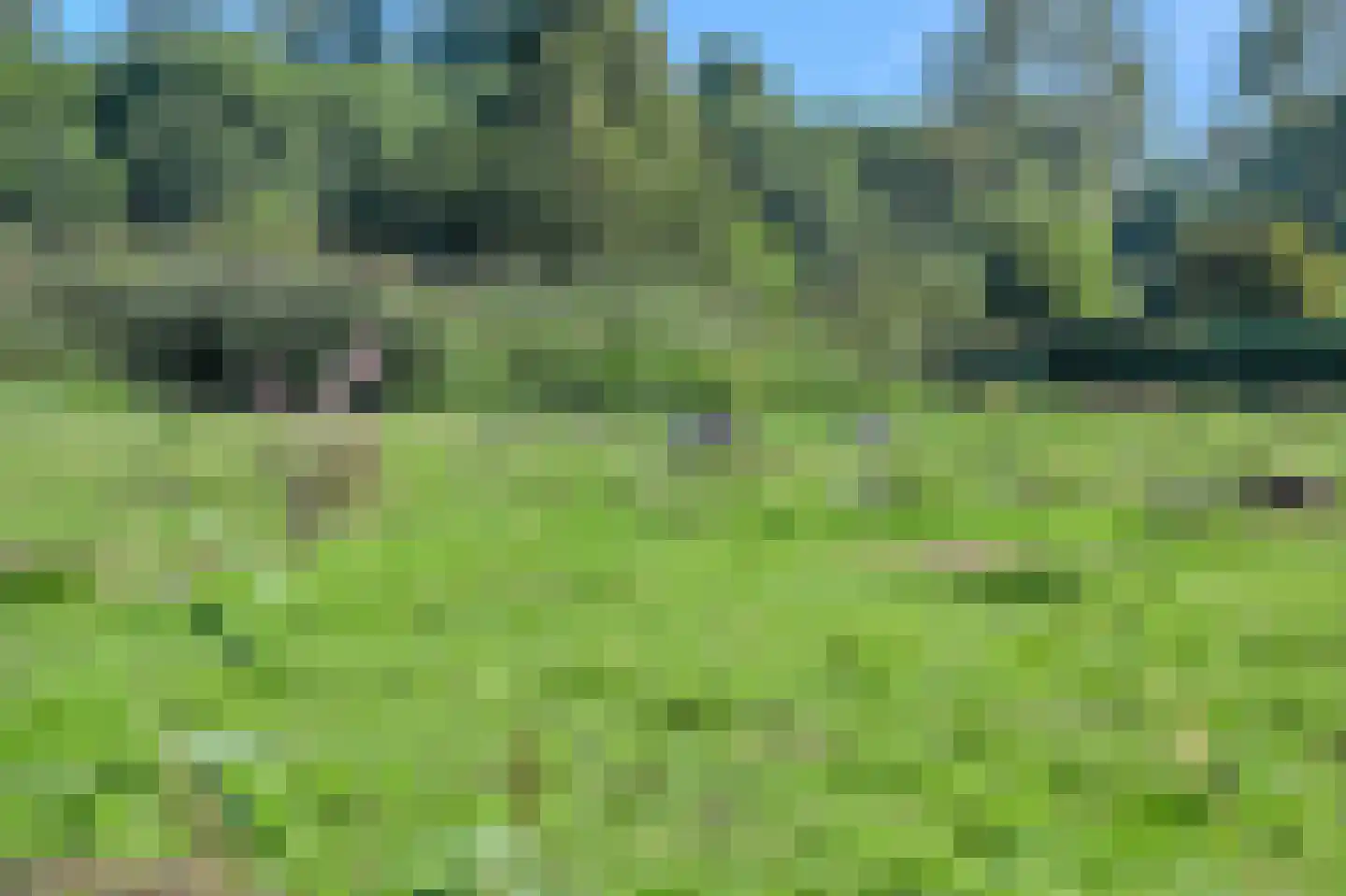 Wijkergouw 39 Amsterdam thumbnail 18