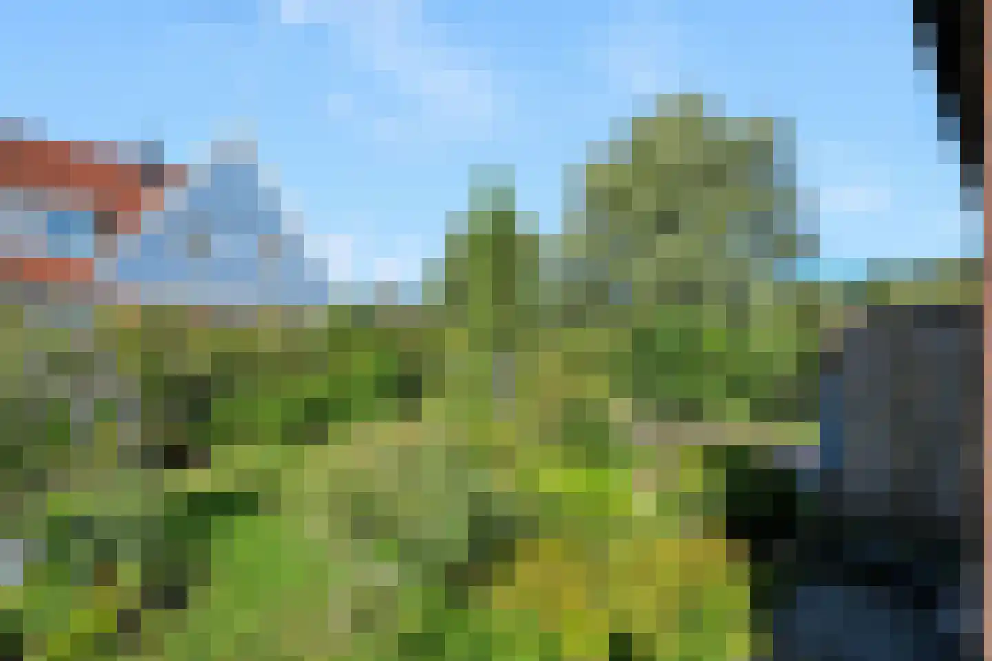 Wijkergouw 39 Amsterdam thumbnail 24
